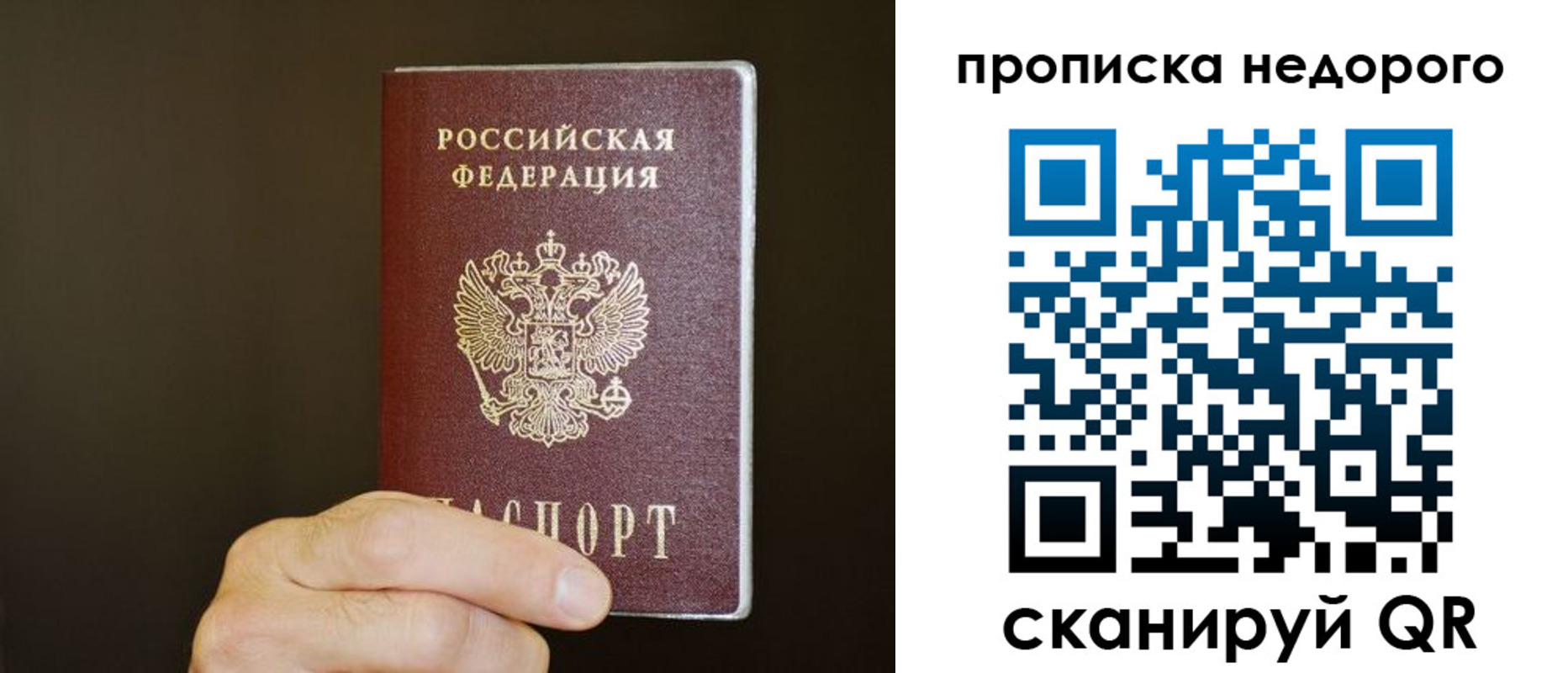 прописка в квартире в Ермолино